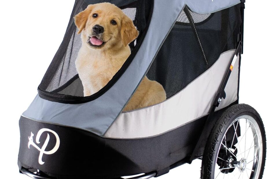 Adventure Awaits: The Ultimate Petique Trailblazer Jogger Review for Active Pet Owners