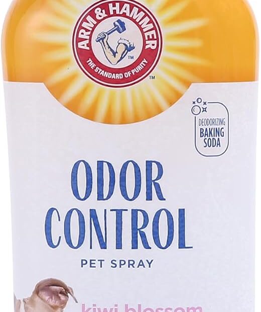 Banish Pet Odors: Arm & Hammer Super Deodorizing Spray Review