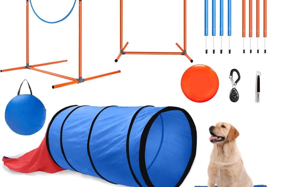 Boost Your Pup's Skills: A Review of the Agility Training Set for Dogs