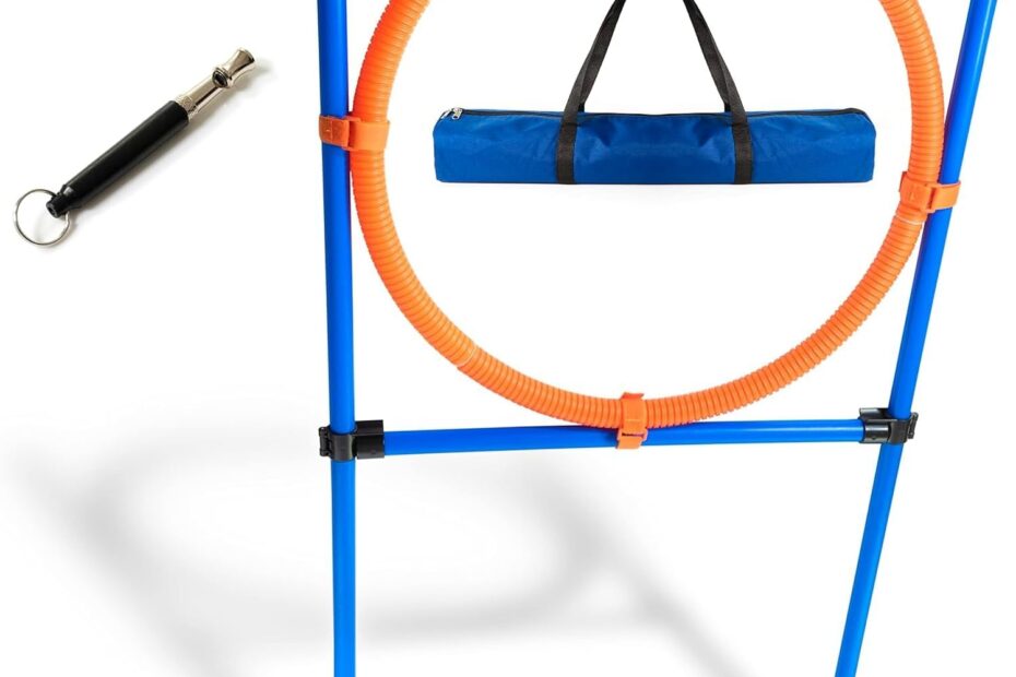 Boost Your Pup's Skills: Reviews of the Dog Jump Ring Agility Hoop Kit!