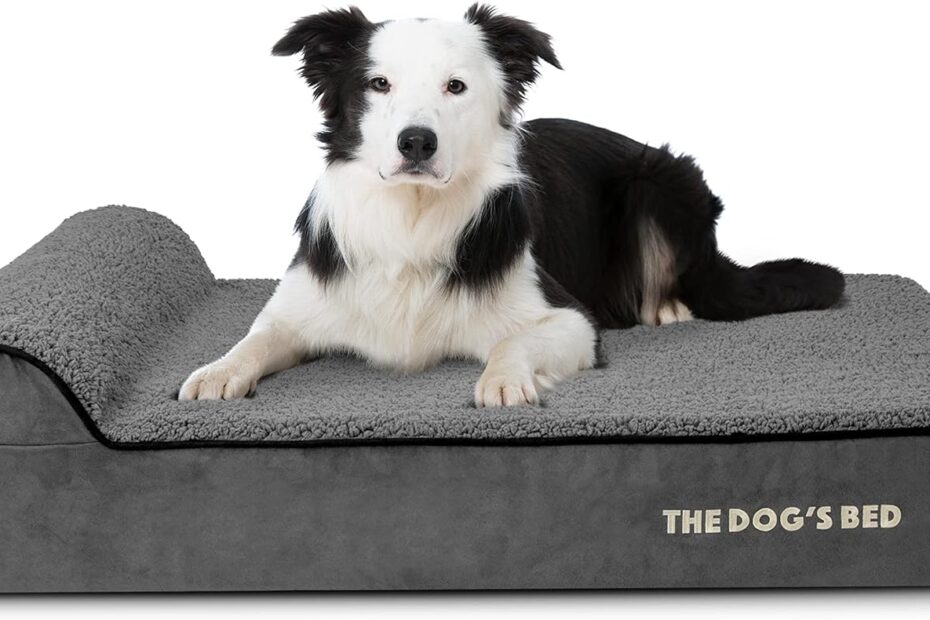 Comfort & Care: Review of The Dog’s Bed Orthopedic Headrest Dog Bed