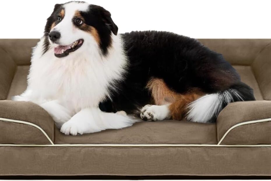 Comfort for Your Canine: The FERPOSH XL Orthopedic Dog Bed Review