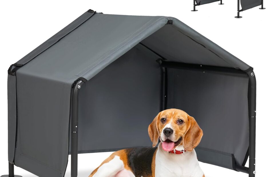 Cool Comfort: The Ultimate Outdoor Dog Shades for Happy Pups