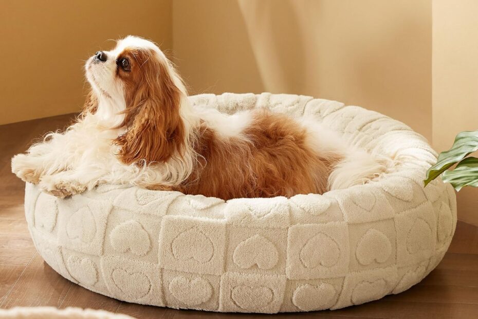 Cozy Comfort: Bedsure Donut Dog Bed Review for Your Medium Pup