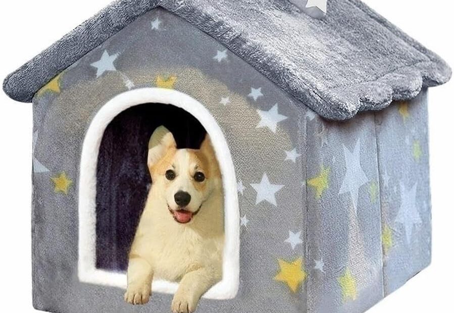 Cozy Comfort: The Ultimate Indoor Foldable Dog House Review