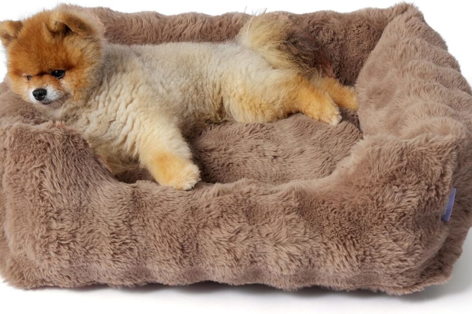 Cozy Up Your Pup: Review of Lesure Fluffy Dog Beds for Ultimate Comfort!