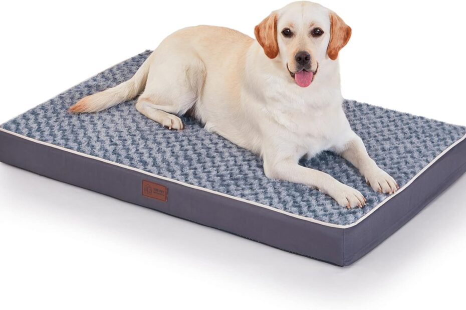 Discover Comfort: Figopage Orthopedic Memory Foam Dog Bed Review