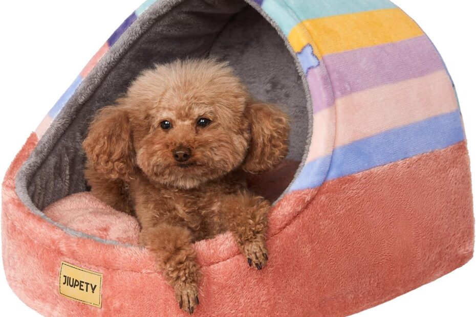 Discover Comfort: Jiupety's Adorable Cat Beds for Cozy Cats