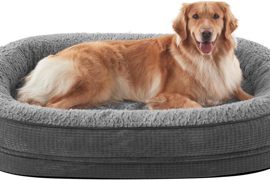 Discover Comfort: JOEJOY XL Orthopedic Dog Bed Review for Your Pooch