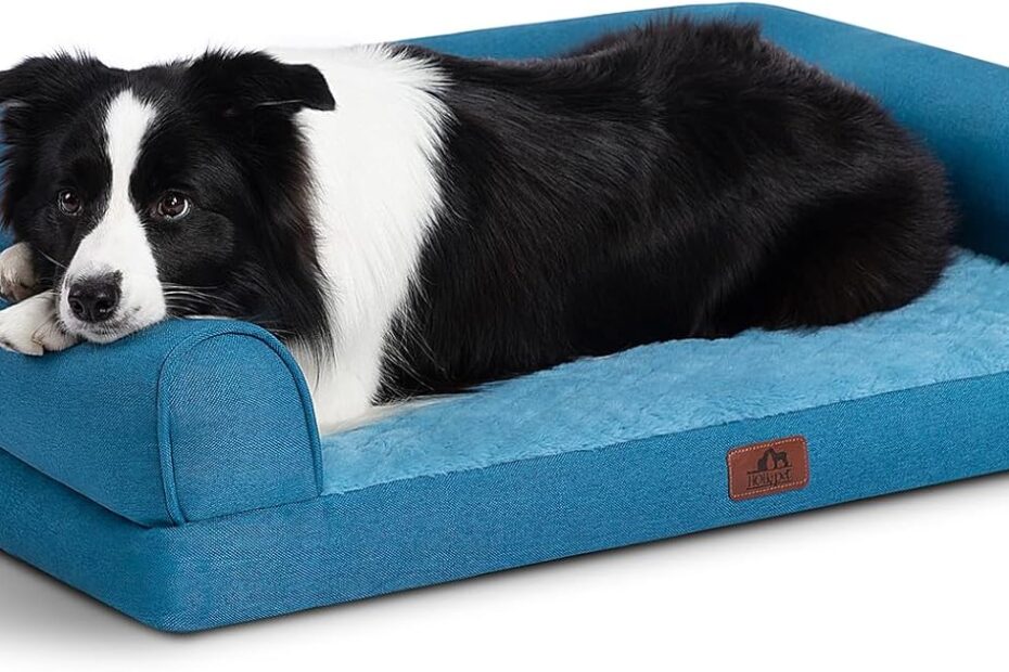 Discover Comfort: Review of the Hollypet Orthopedic Dog Bed for Large Dogs
