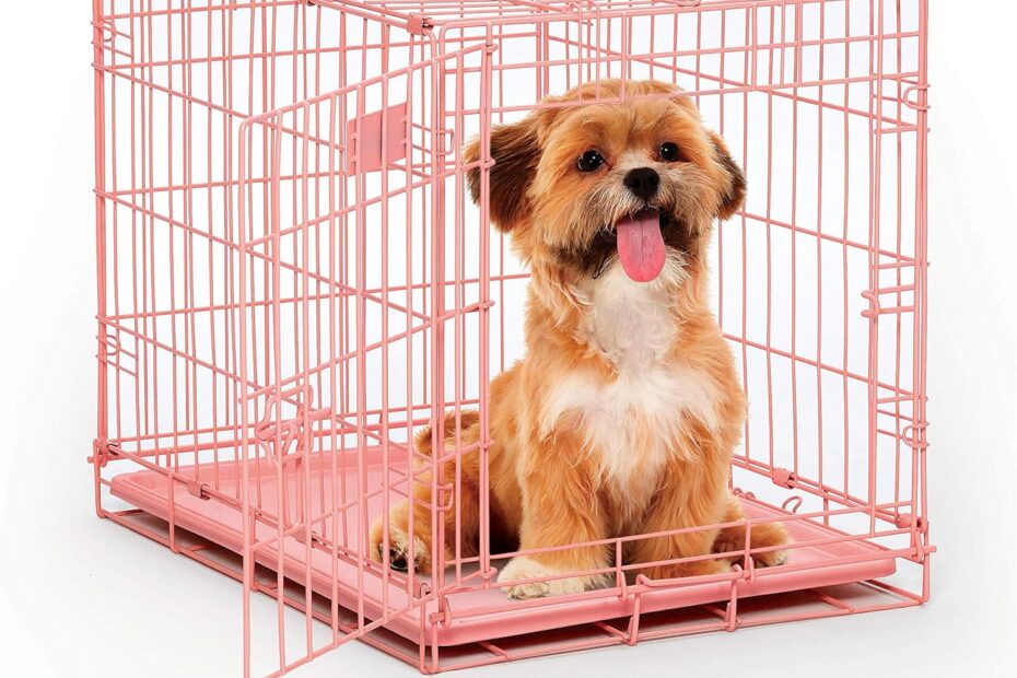Discover Comfort & Safety: The Enhanced MidWest Homes iCrate for Your Dog!