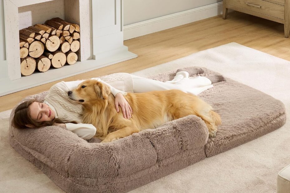 Discover Comfort: The Ultimate Bedsure Foldable Giant Dog Bed Review