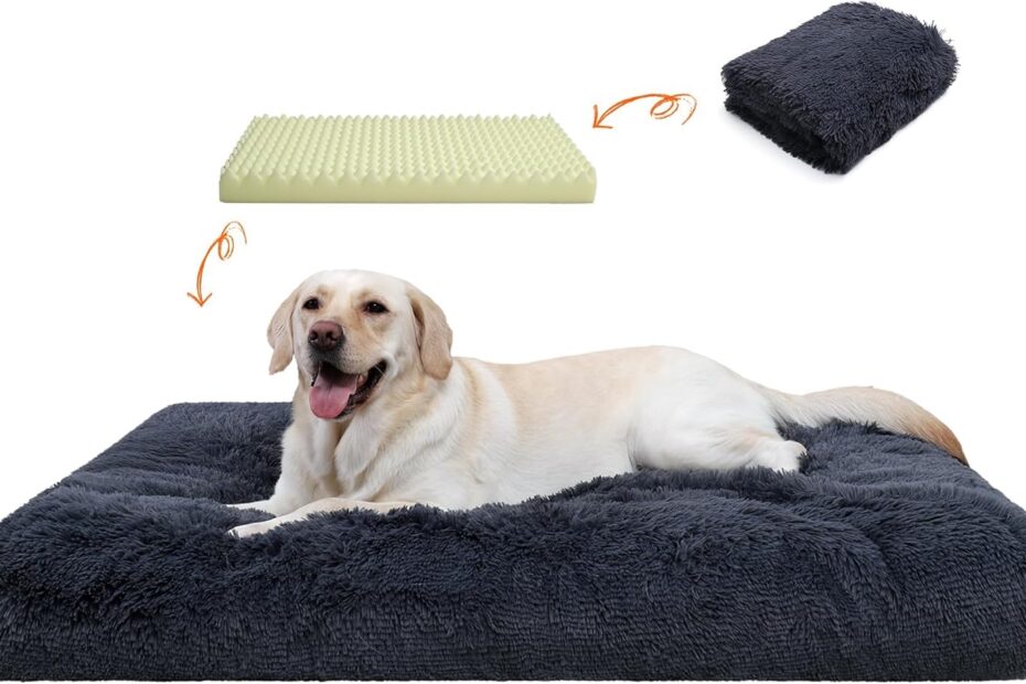 Discover Comfort: The Ultimate Orthopedic Dog Bed for Happy, Relaxed Pets!