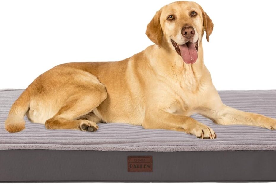 Discover the Comfort: Top-Rated Orthopedic Dog Beds for Every Size!