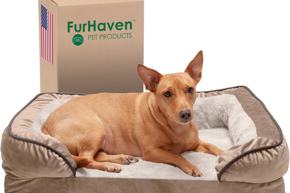 Discover Ultimate Comfort: Furhaven Orthopedic Dog Bed Review