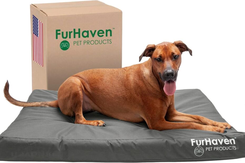 Discover Ultimate Comfort: Furhaven Water-Resistant Orthopedic Dog Bed Review
