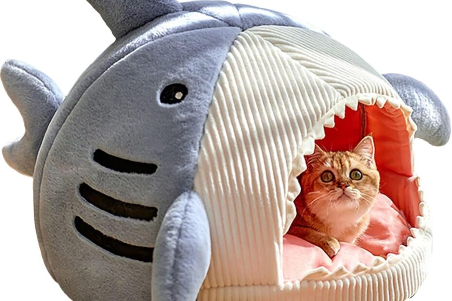 Dive into Comfort: QWINEE Shark-Shaped Cat Bed Review