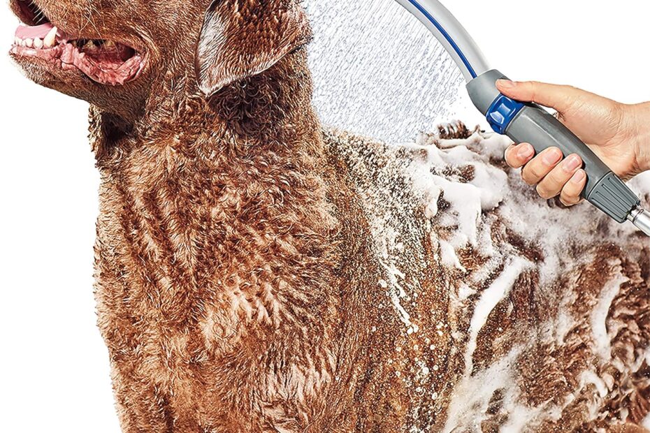 Effortless Dog Baths: Review of the Waterpik Pet Wand Pro