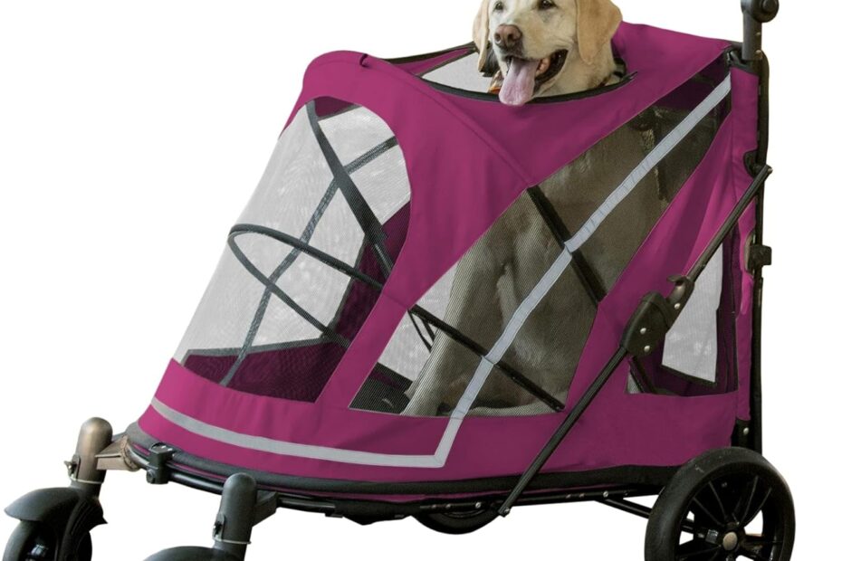 Effortless Pet Adventures: Review of the Pet Gear NO-ZIP Stroller!