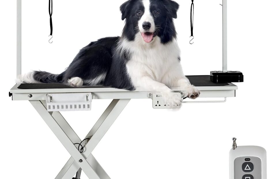 Elevate Your Pet Grooming Game: The Ultimate 50'' Electric Lift Table Review