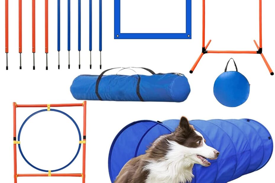 Elevate Your Pet's Playtime: The Ultimate Dog Agility Training Equipment Set!