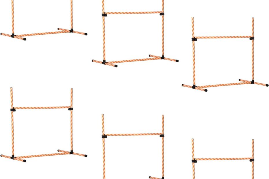 Elevate Your Pup's Playtime: Review of PawHut 6 Piece Dog Agility Training Set!