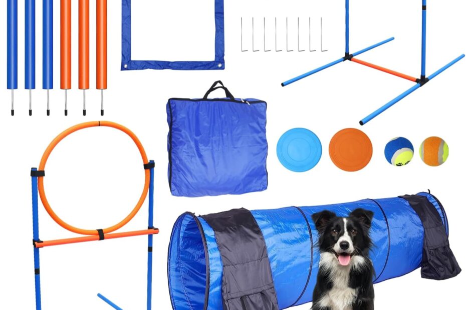 Elevate Your Pup's Playtime: The Ultimate Dog Agility Training Kit Review