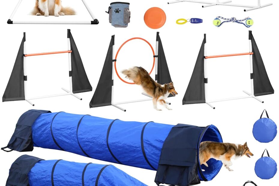 Elevate Your Pup’s Playtime: Ultimate Review of Agility Training Equipment for Dogs