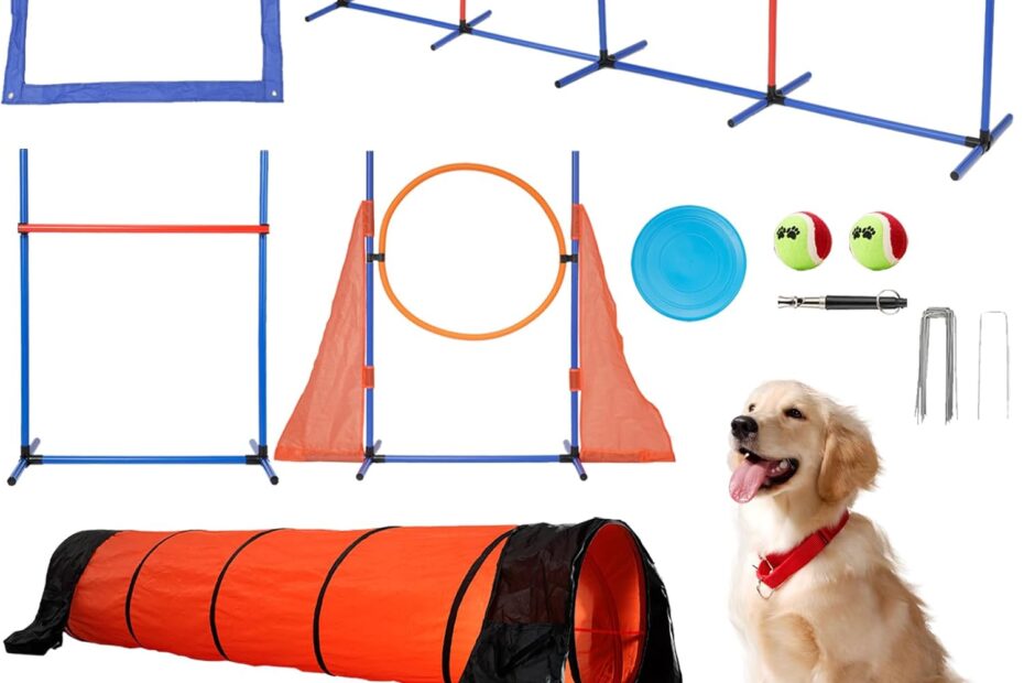 Elevate Your Pup's Playtime with LotFun Dog Agility Training Kit!