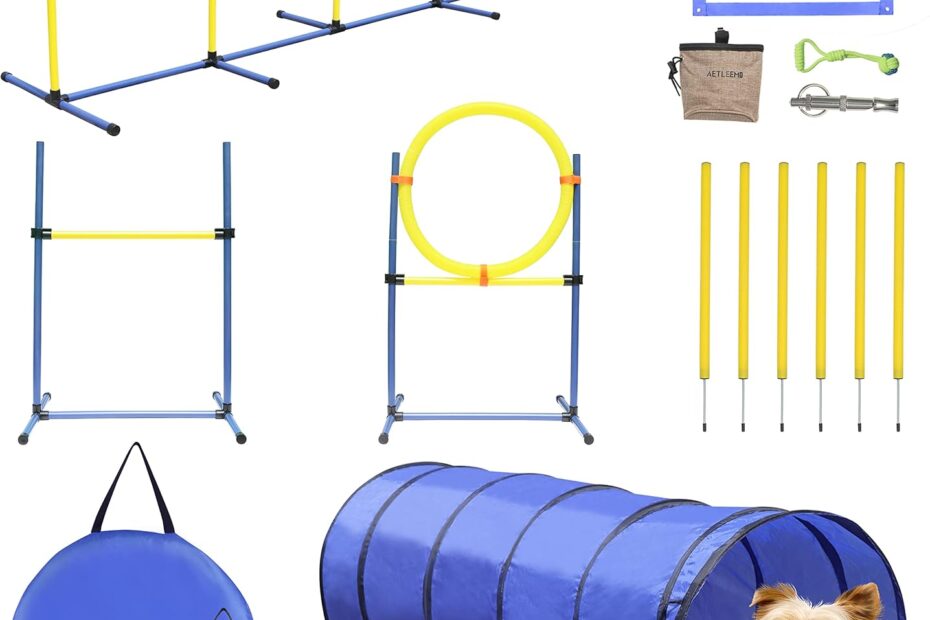 Elevate Your Pup's Skills: The Ultimate Dog Agility Training Equipment Set Review