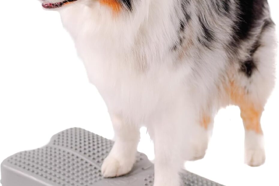 Elevate Your Training with the Blue-9 Propel Air Platform Kit: A Must-Have for Dog Owners!