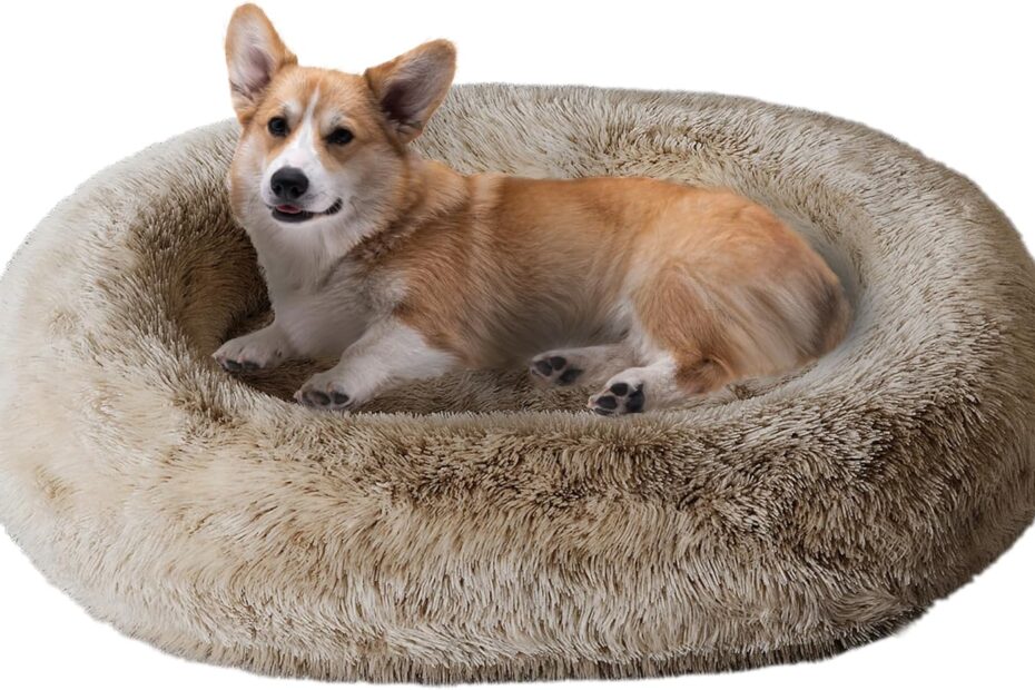 Give Your Pup the Gift of Comfort: Review of the Orthopedic Calming Dog Bed