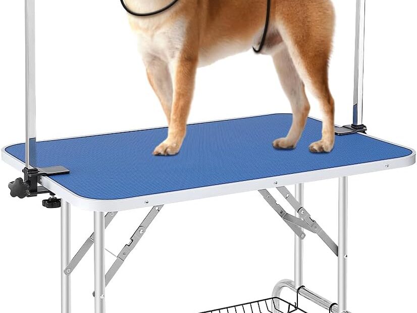 Groom Like a Pro: VEVOR Pet Grooming Table Review for Small & Medium Dogs
