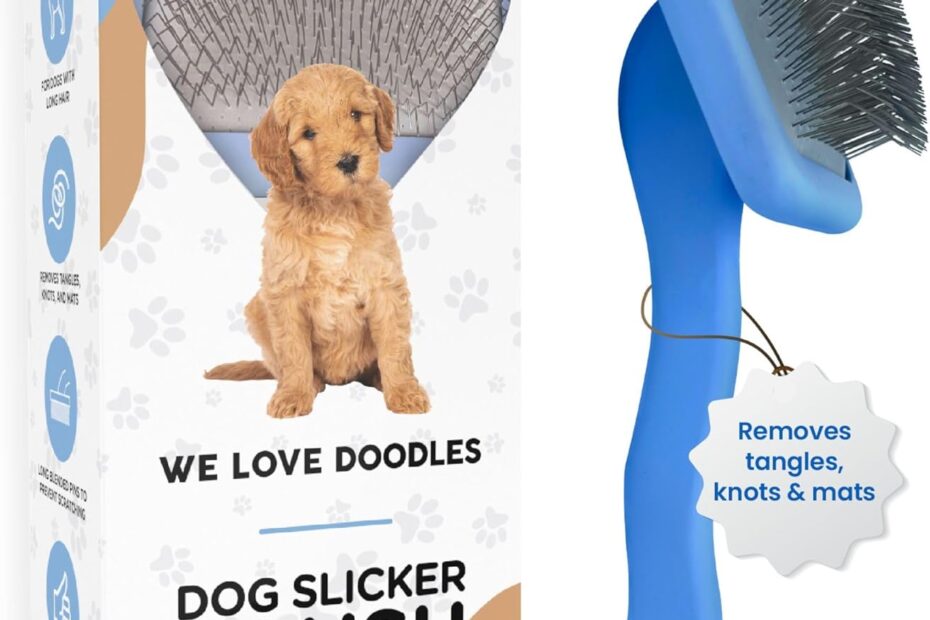 Grooming Made Easy: Review of the We Love Doodles Slicker Brush for Poodles and Goldendoodles