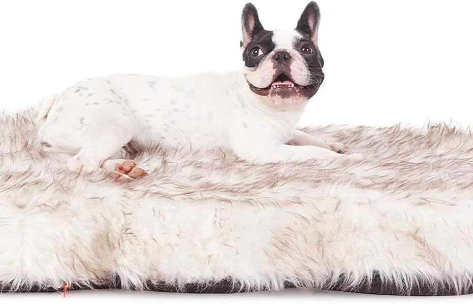 Indulge Your Pup: Laifug Luxury Orthopedic Dog Bed Review