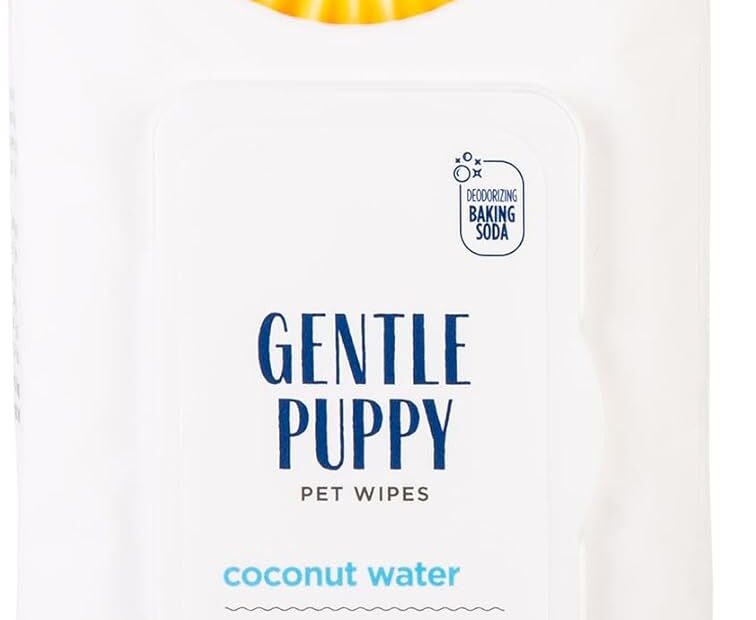 Keep Your Pup Fresh: Arm & Hammer Deodorizing Dog Grooming Wipes Review