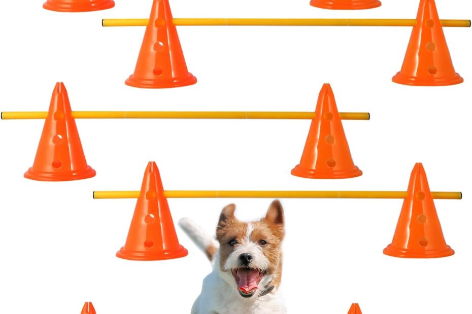 Master Your Dog's Training with Agility Hurdles & Cones!
