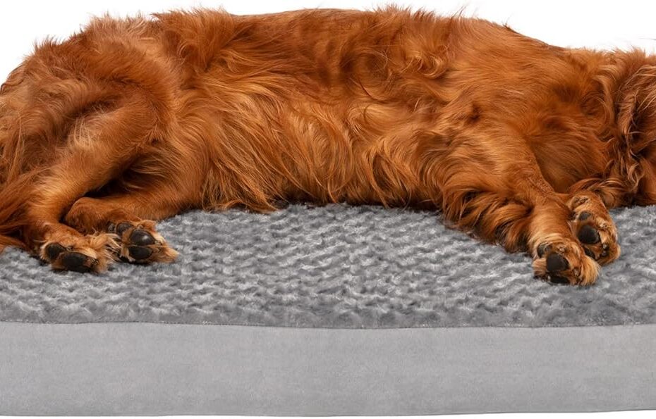 Pamper Your Pup: Furhaven Orthopedic Dog Bed Review for Large Dogs