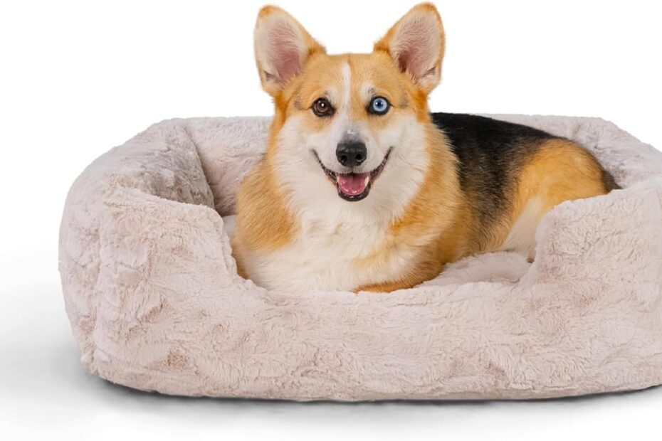 Pamper Your Pup: Review of the Best Friends by Sheri Lux Lounge Bed