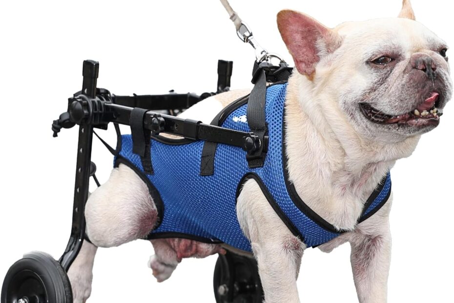 Revitalize Your Dog's Mobility: A Review of the Shudyear Adjustable Wheelchair Trolley
