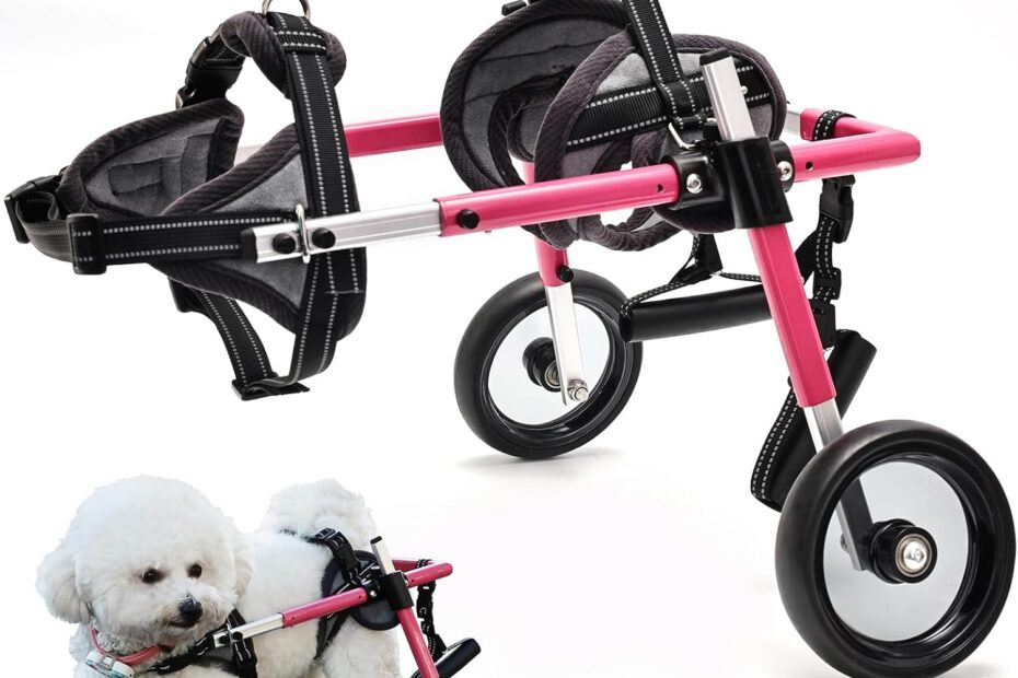 Revitalize Your Dog's Mobility: The Perfect Adjustable Wheelchair for Small Pets!