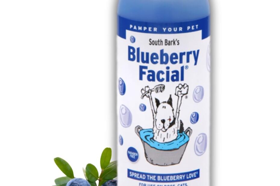 Revitalize Your Pet's Grooming Routine: South Bark's Blueberry Facial Shampoo Review