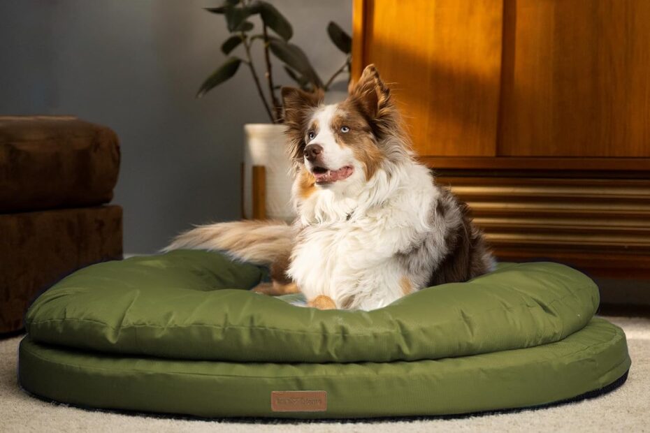 Revitalize Your Pup's Comfort: ClevaHome Orthopedic Dog Bed Review