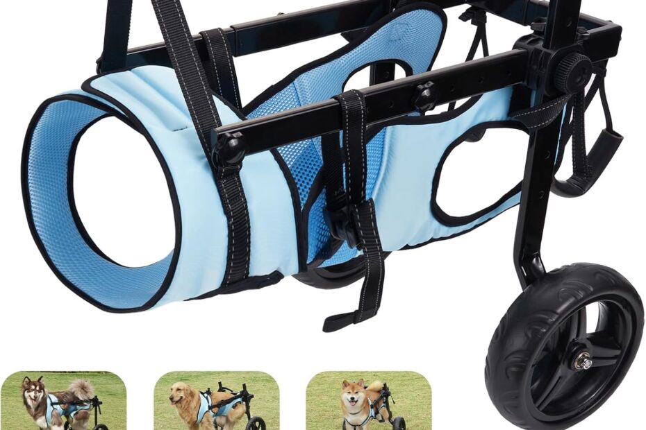 Revive Your Pup's Mobility: The Best Dog Wheelchair for Back Legs