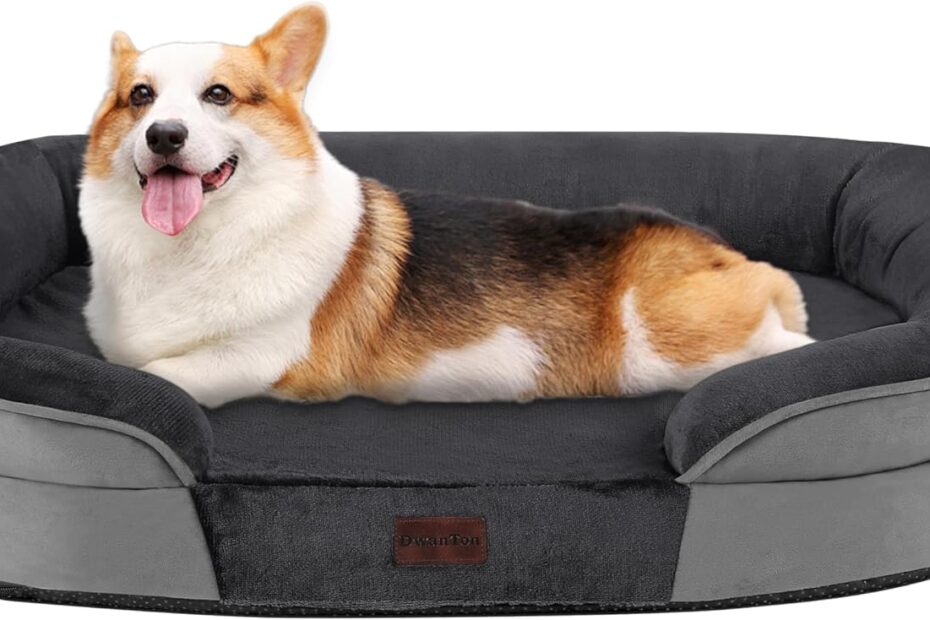 Sleep Like a Dog: The Ultimate Review of the Dwanton Orthopedic Dog Bed