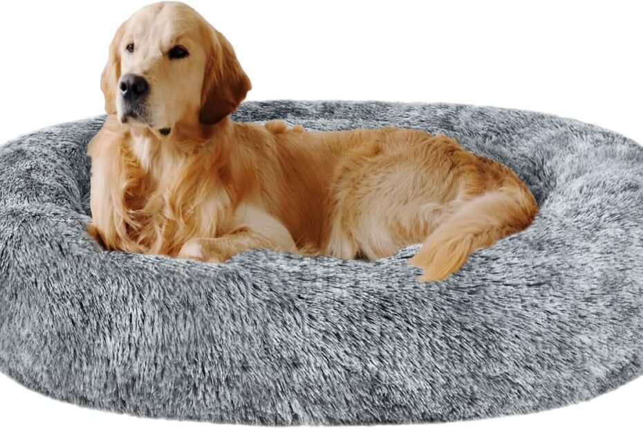 Snuggle in Style: Review of the Coohom Oval Calming Donut Dog Bed