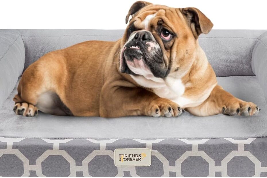 Snuggle in Style: Review of the Friends Forever Harper Orthopedic Dog Bed