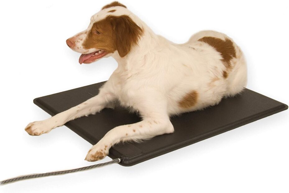 Stay Cozy: K&H Heated Outdoor Dog Pad Review & Recommendations