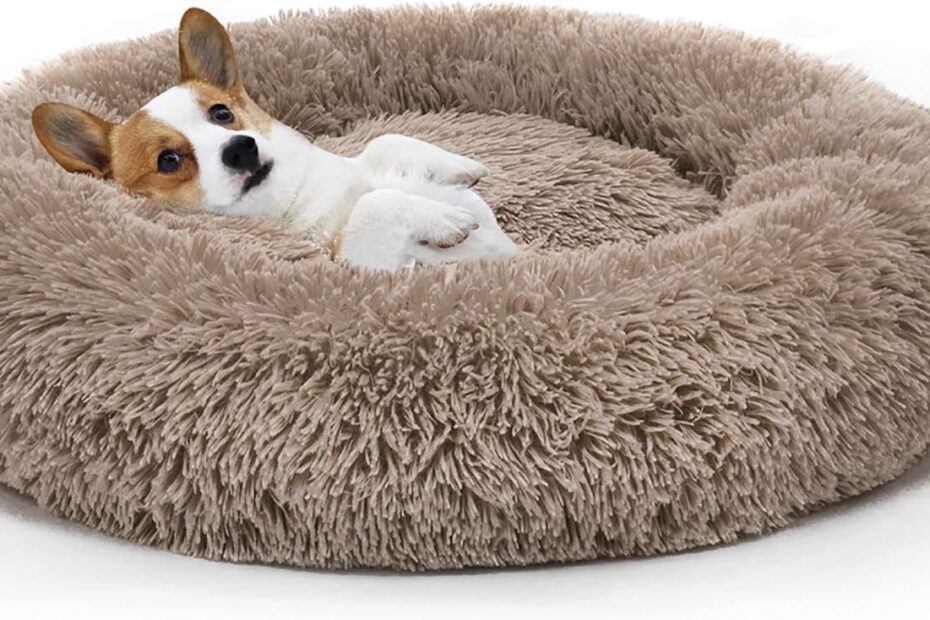 The Cozy Cuddle Your Pet Deserves: MIXJOY Orthopedic Dog Bed Review
