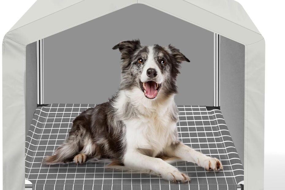 The Perfect Retreat: Review of the Elevated Waterproof Dog House